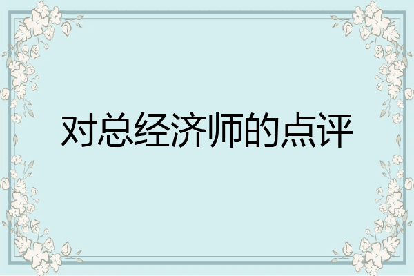 对总经济师的点评