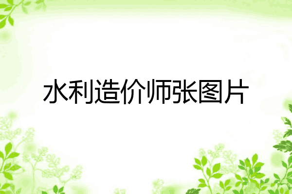 水利造价师张图片
