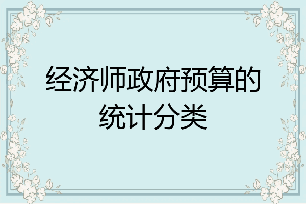 经济师政府预算的统计分类