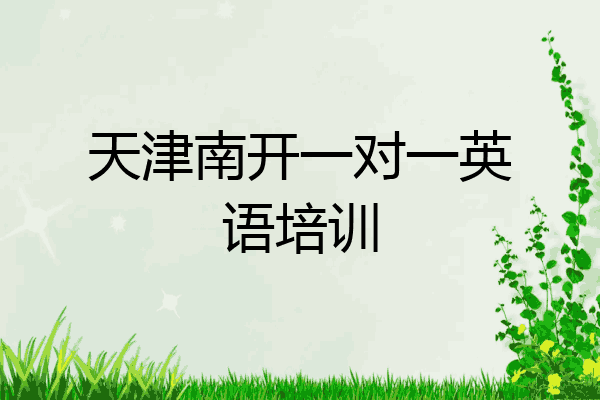 天津南开一对一英语培训