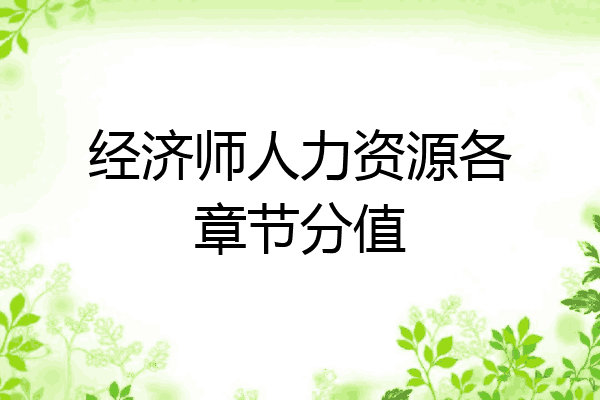 经济师人力资源各章节分值