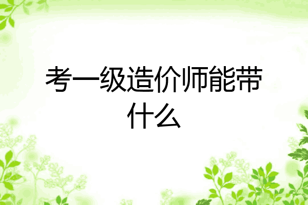 考一级造价师能带什么