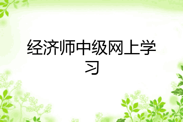 经济师中级网上学习