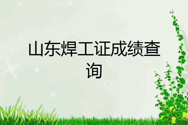 山东焊工证成绩查询