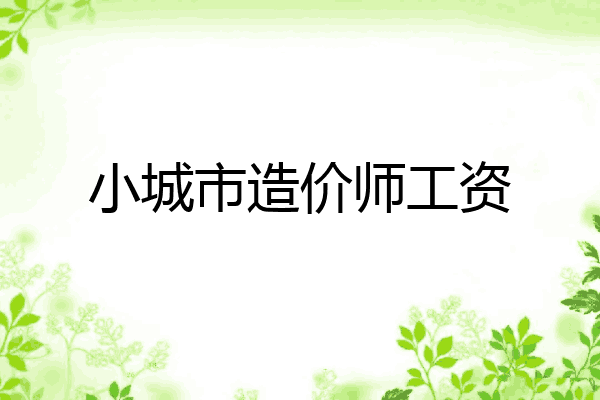 小城市造价师工资