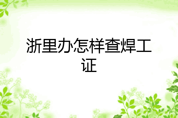 浙里办怎样查焊工证