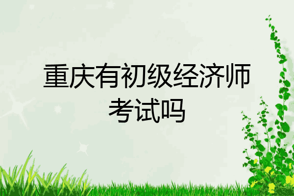 重庆有初级经济师考试吗