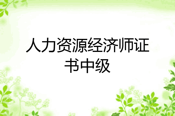 人力资源经济师证书中级