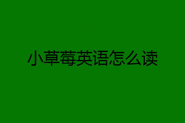 小草莓英语怎么读
