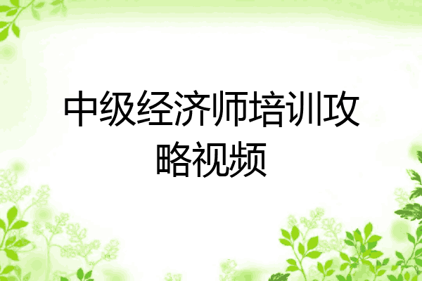 中级经济师培训攻略视频