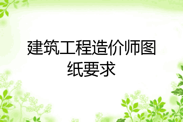 建筑工程造价师图纸要求