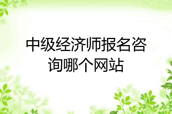 中级经济师报名咨询哪个网站