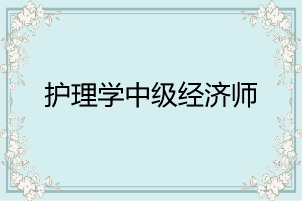 护理学中级经济师