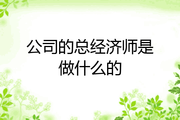公司的总经济师是做什么的