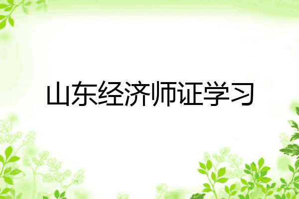山东经济师证学习