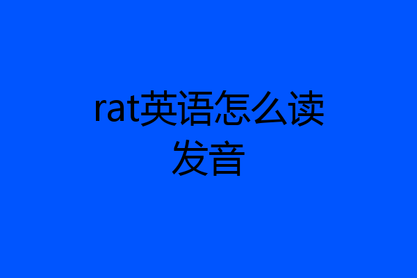 rat英语怎么读发音