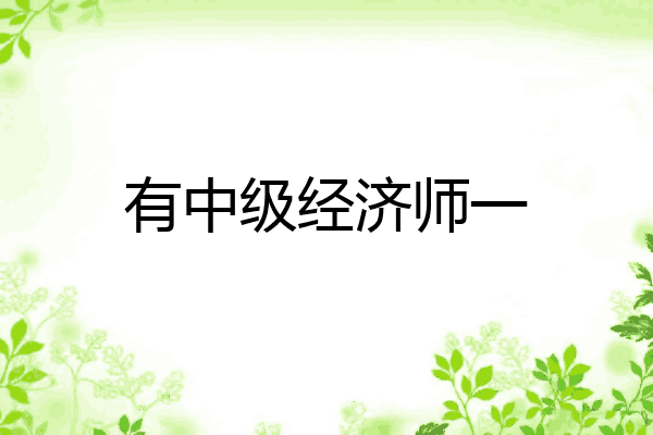 有中级经济师一