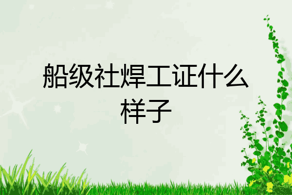 船级社焊工证什么样子