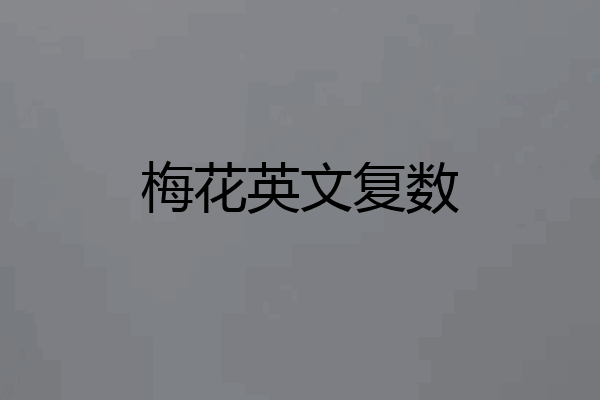 梅花英文复数