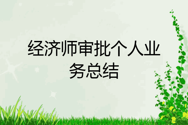 经济师审批个人业务总结
