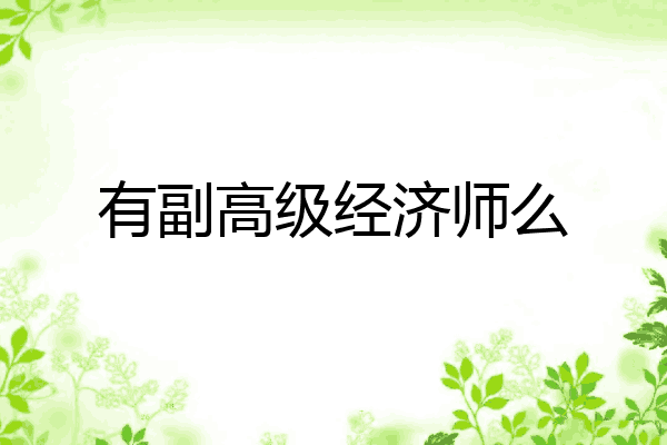 有副高级经济师么