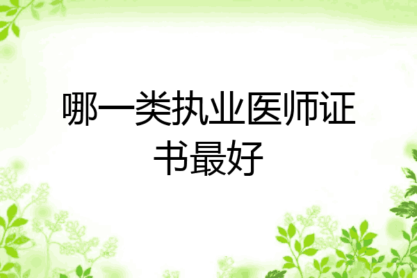 哪一类执业医师证书最好