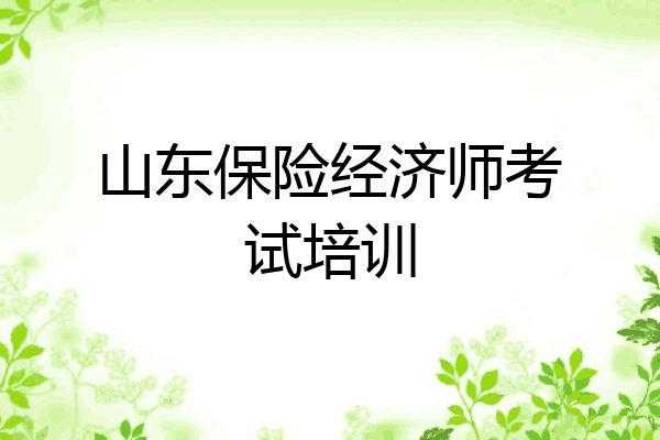 山东保险经济师考试培训