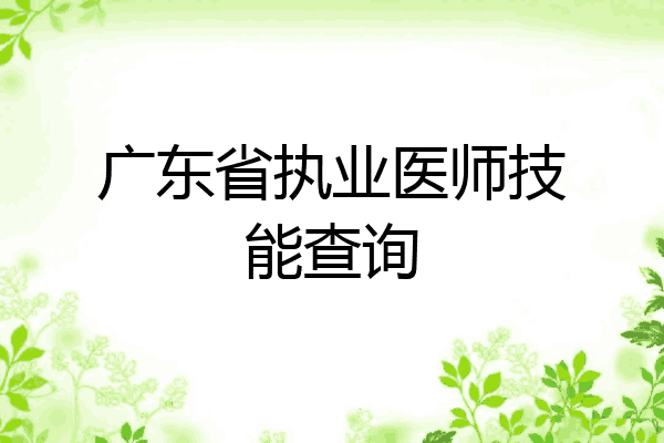 广东省执业医师技能查询