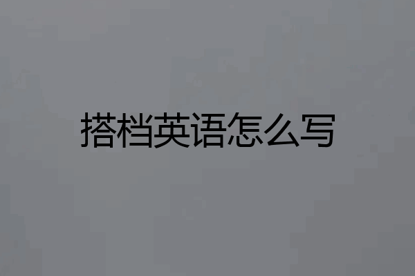 搭档英语怎么写