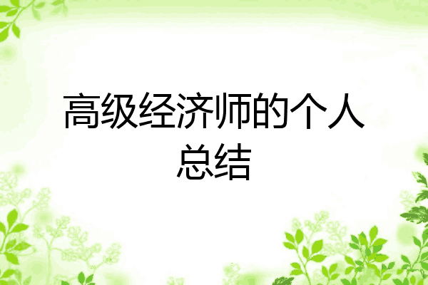高级经济师的个人总结