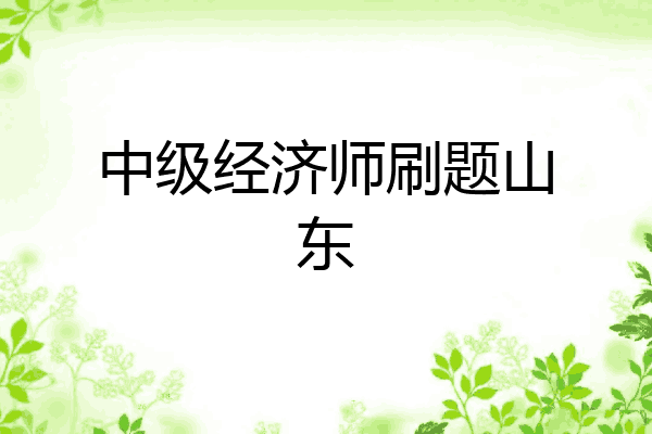 中级经济师刷题山东