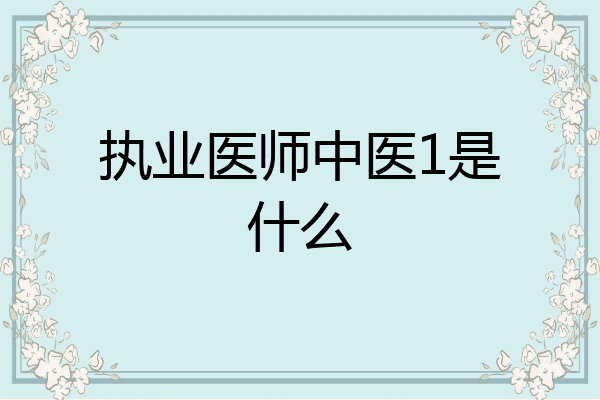 执业医师中医1是什么
