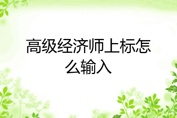 高级经济师上标怎么输入