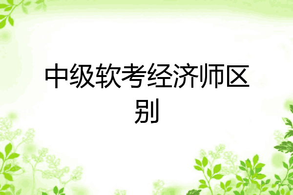 中级软考经济师区别