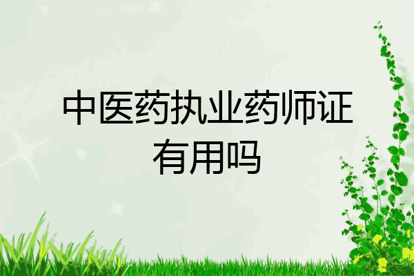 中医药执业药师证有用吗