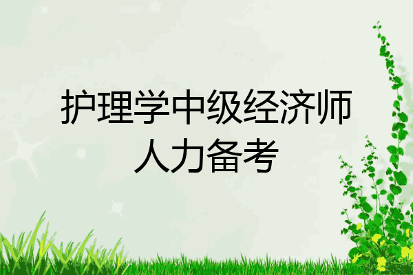 护理学中级经济师人力备考