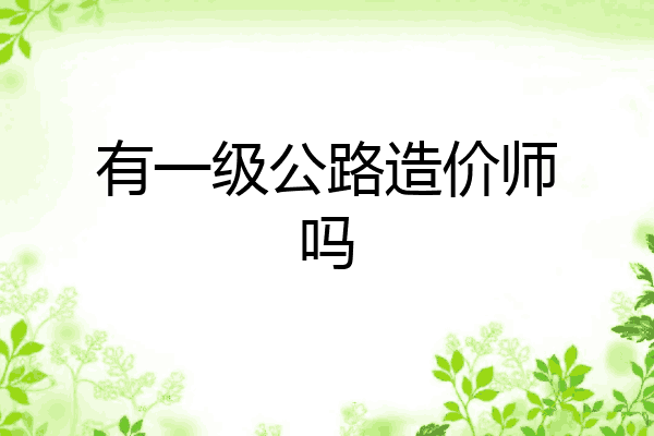 有一级公路造价师吗