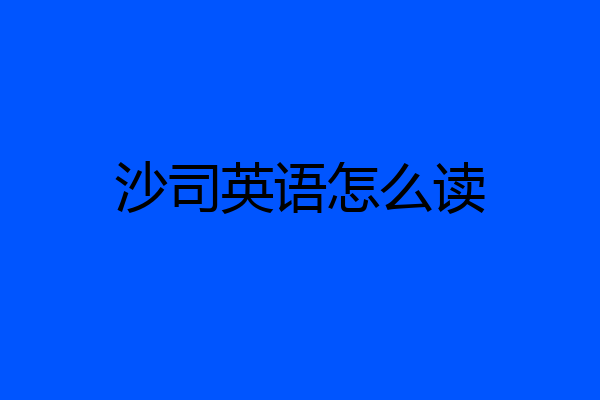 沙司英语怎么读
