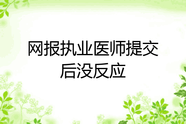 网报执业医师提交后没反应