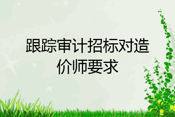 跟踪审计招标对造价师要求