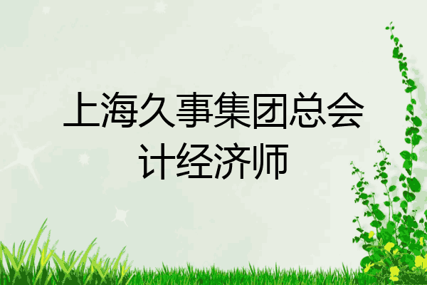 上海久事集团总会计经济师