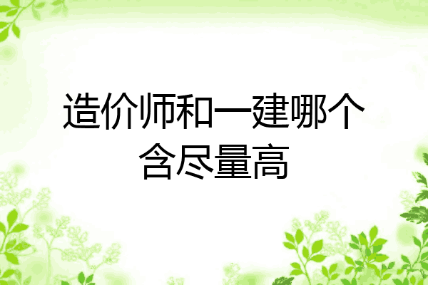 造价师和一建哪个含尽量高