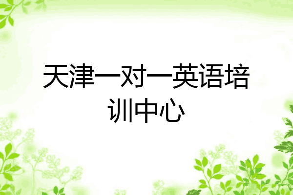 天津一对一英语培训中心