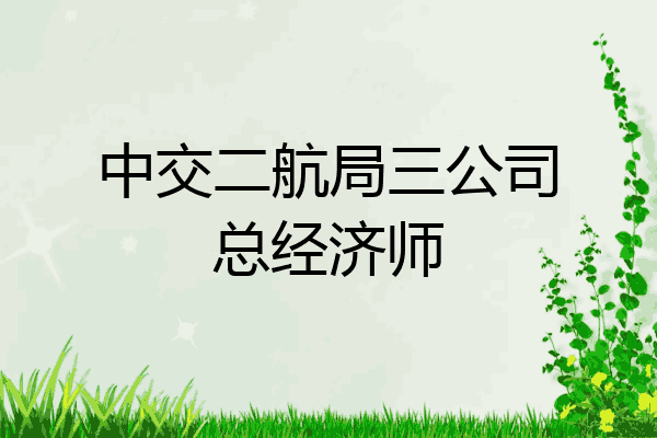 中交二航局三公司总经济师