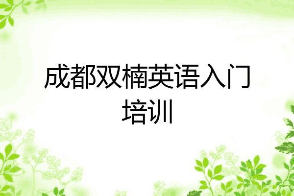 成都双楠英语入门培训