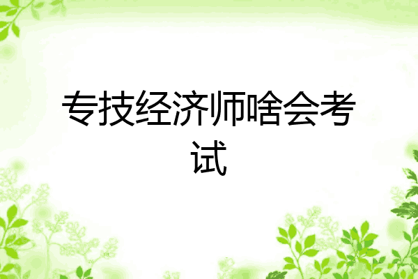 专技经济师啥会考试