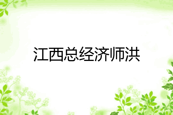 江西总经济师洪