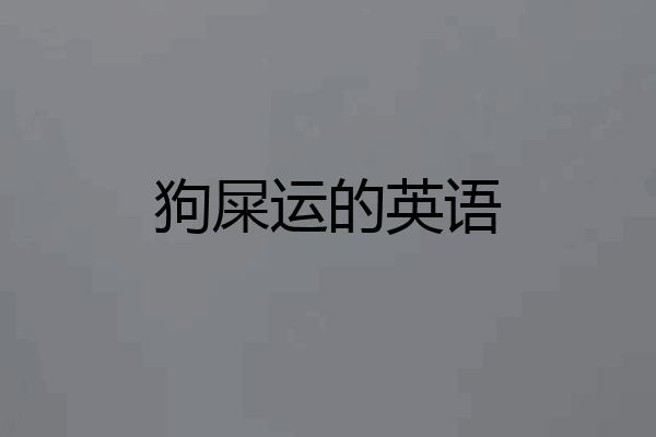 狗屎运的英语
