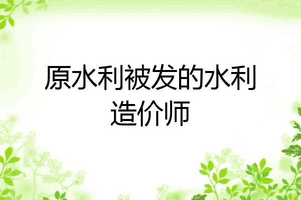 原水利被发的水利造价师