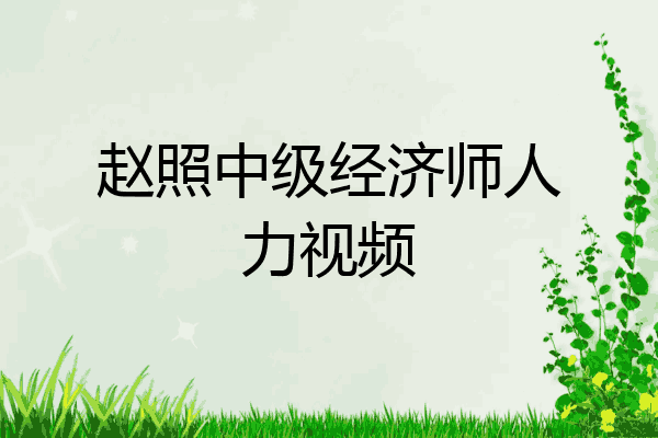 赵照中级经济师人力视频